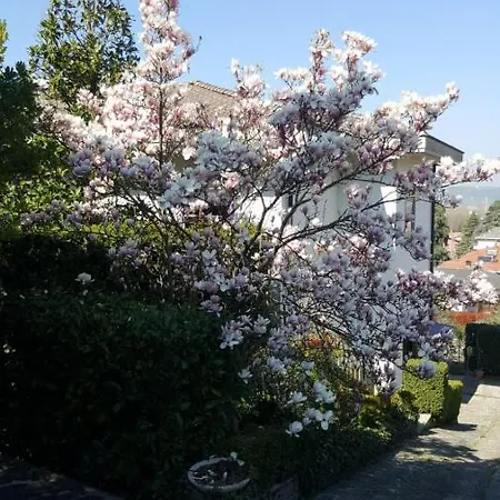 Nel Giardino Di Oz Bed & Breakfast