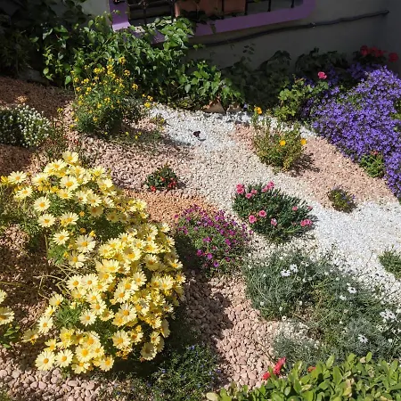 Nel Giardino Di Oz Bed & Breakfast