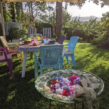 Nel Giardino Di Oz 3*