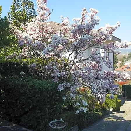 Nel Giardino Di Oz Fornovo di Taro