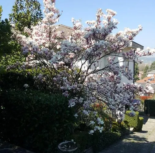 Nel Giardino Di Oz Nocleg ze śniadaniem